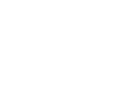 New Mexico Community Trust logo